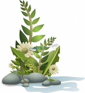 绿色藤类花卉矢量图